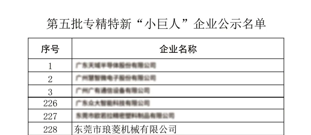 国家第五批专精特新“小巨人”称号 国家第五批专精特新“小巨人”称号