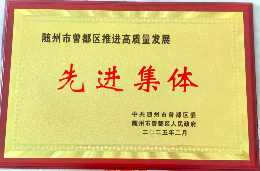 再获殊荣:先进集体 再获殊荣:先进集体